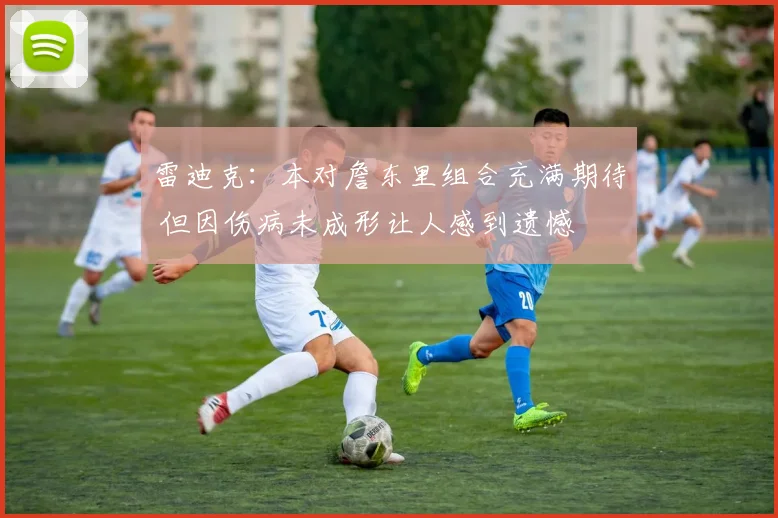 雷迪克：本对詹东里组合充满期待 但因伤病未成形让人感到遗憾