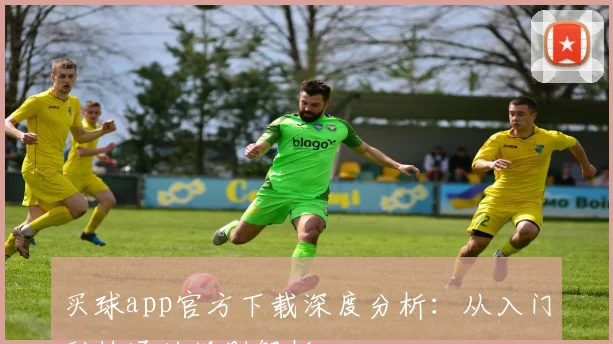 买球app官方下载深度分析：从入门到精通的规则解析